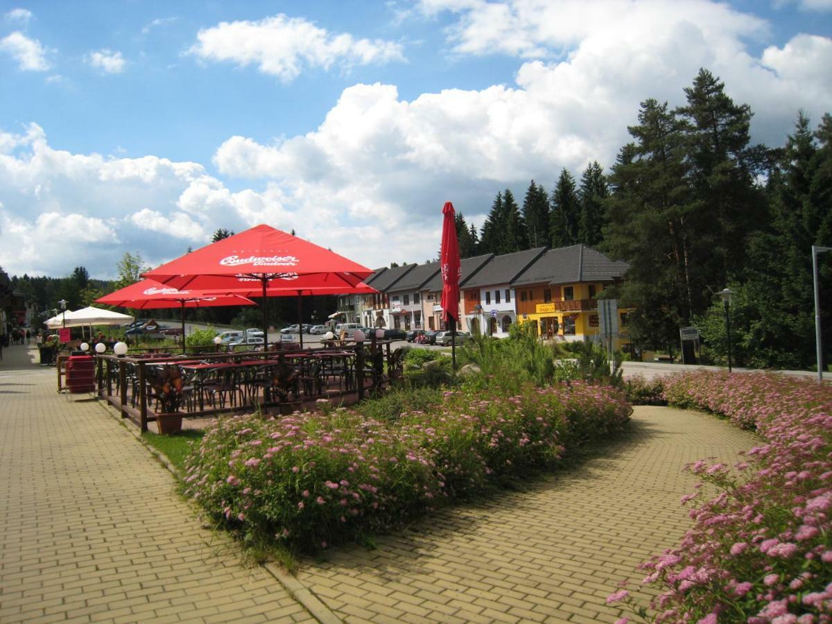 Ferienwohnung Apartman Riviera Lipno nad Vltavou Exterior foto